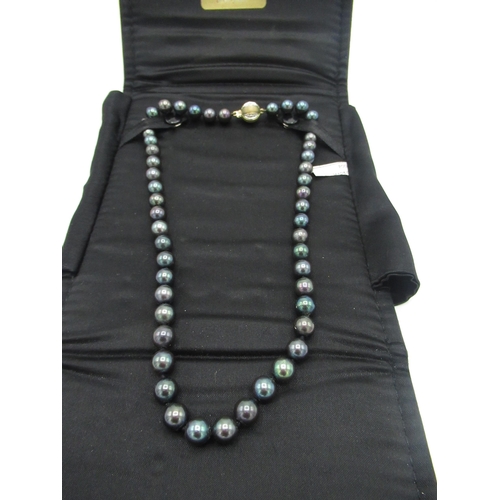 512 - Single strand cultured black pearl necklace consisting of fifty individually knotted pearls with an ... 
