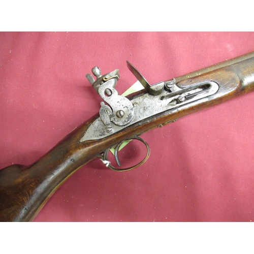 422 - Scarce dog lock musket with 51 1/2