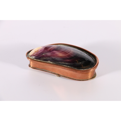 6 - 18th or 19th century Scottish mussel shell snuff box with copper and brass mounts, 6cm long