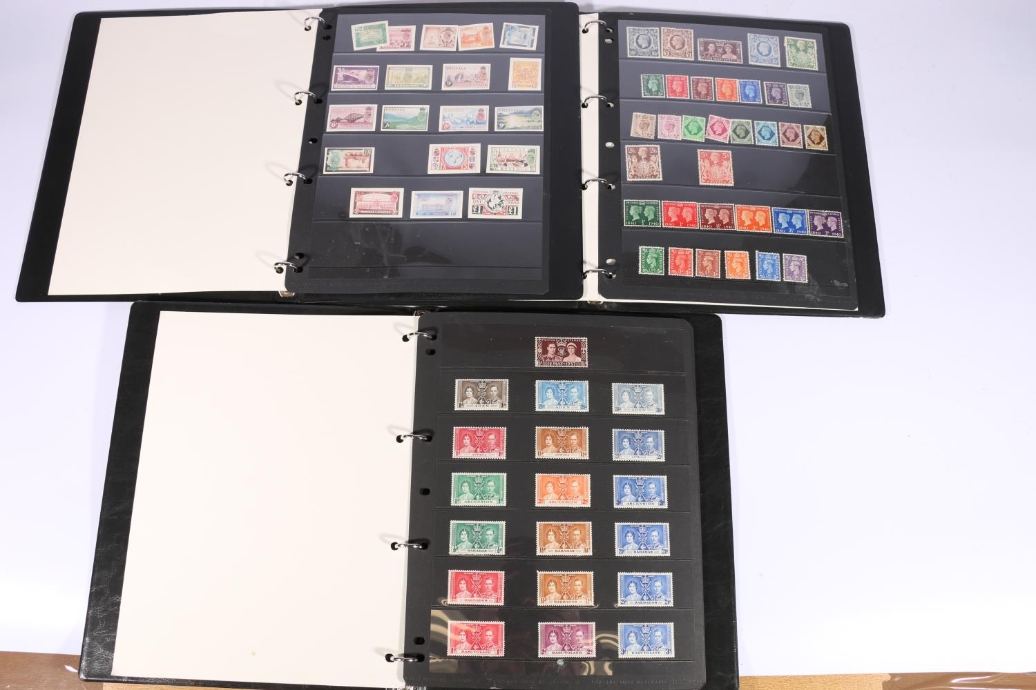 Harrington collection essay 06 picture