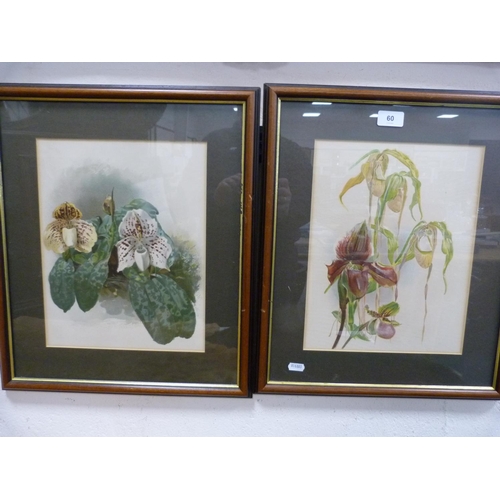 60 - Two modern floral still life prints.  (2)