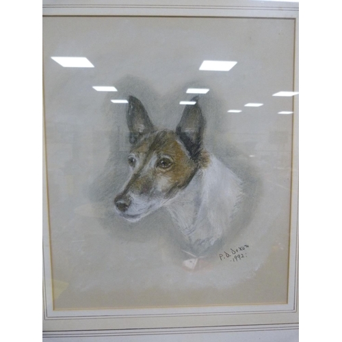 6 - PD DixonDogsSigned and dated 1992, also Joel Kirk, pencil signed print of Jack Russell terriers and ... 