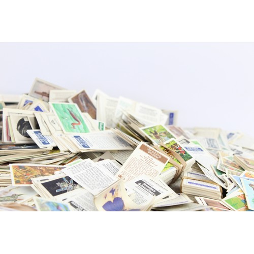 266 - ,Job Lot of Assorted Vintage CIGARETTE / TEA CARDS Inc. Silk, Transfer, Etc