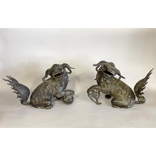 1025 - Impressive pair of antique Chinese late Ming Dynasty  bronze Buddhist lions, of large size, One with... 