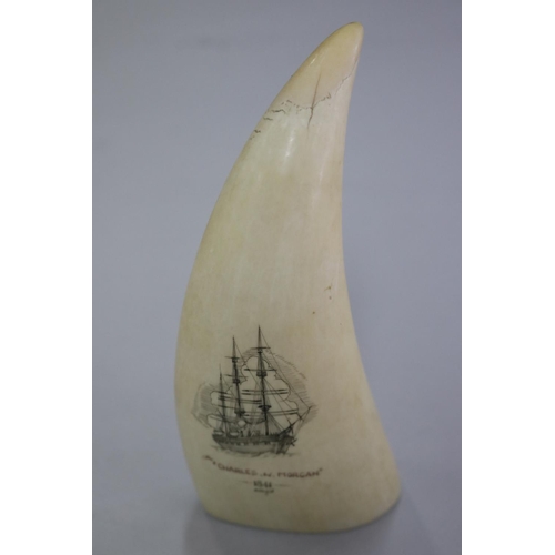 235 - Engraved scrimshaw whales tooth, The Charles. W. Morgan, signed G. Tonkin, approx 14 cm L