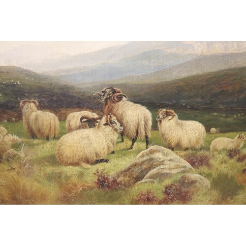 51 - William Perring Hollyer (1834-1922) England, Oil on canvas, highland sheep and hound - signed lower ... 