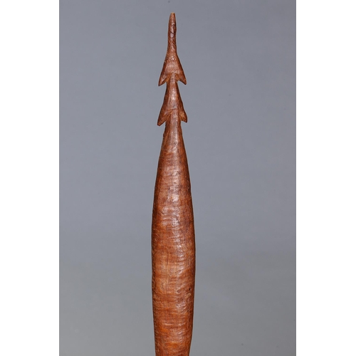20 - RARE STABBING WADDY, WESTERN VICTORIA, Carved and engraved hardwood (with custom stand) Approx L70.5... 