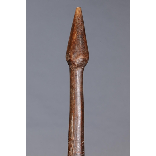 25 - EARLY LARGE THROWING CLUB, SOUTH EASTERN AUSTRALIA, Carved and engraved hardwood (with custom stand)... 
