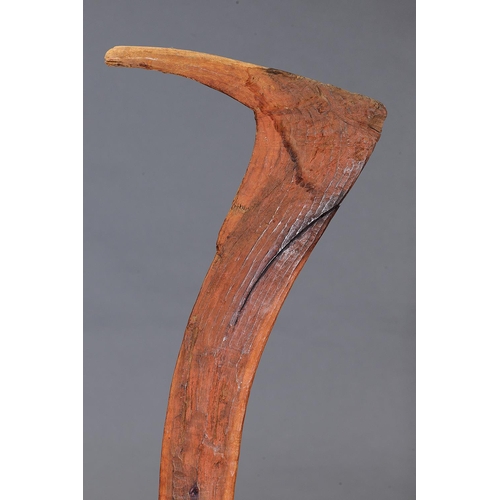 43 - EARLY HOOKED BOOMERANGS, TENNANT CREEK, NORTHERN TERRITORY, Carved and engraved hardwood and natural... 