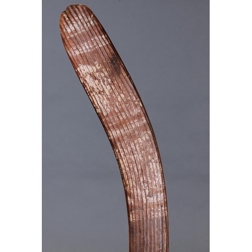 47 - PAINTED CEREMONIAL BOOMERANG, CENTRAL AUSTRALIA, Carved and engraved hardwood and natural pigment (w... 