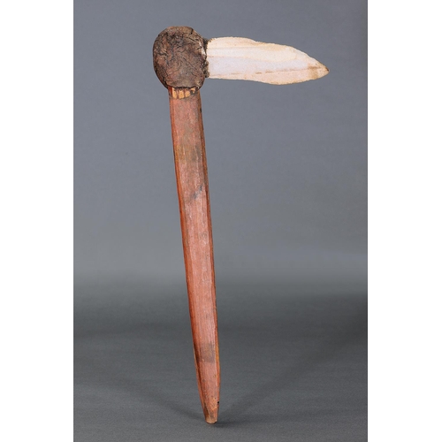 49 - RARE HAFTED STONE FIGHTING PICK, CENTRAL AUSTRALIA, Carved stone, bent wood, spinifex resin and natu... 