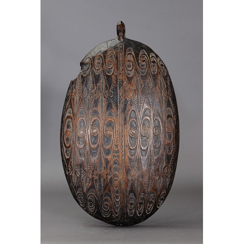 SUPERB EARLY FINE PLATTER, LAKE SENTANI, WEST PAPUA, Carved and engraved hardwood, Possibly pre-contact carved festival feasting platter. One end featuring a long billed  water bird head. The exterior carved with a traditional complex interlocking motif.  The interior plain and displaying a rich, dark glossy patina, approx L56 x 33cm. PROVENANCE Private collection, Queensland