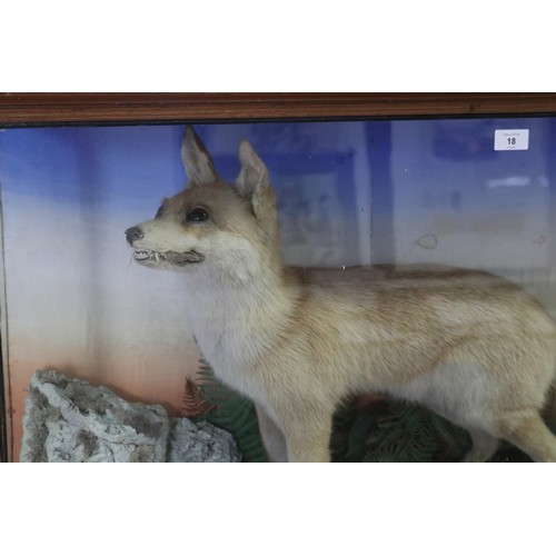 18 - Antique taxidermy glass cased standing fox, on naturalistic ground, cabinet approx 64.5cm H x 108.5c... 