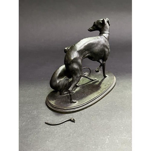 60 - Bronze figure group of two whippets. on a oval base, unsigned, one tail broken off but present, appr... 