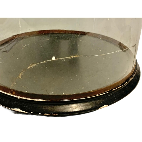 34 - Large vintage glass dome. 78cm